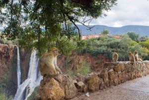 From Marrakech: Day trip to Ouzoud waterfalls and boat tour.