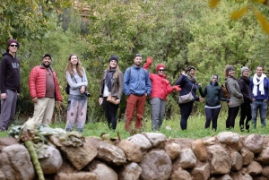 Excursion d'une journée aux cascades d'Ouzoud avec guide et sortie en bateau