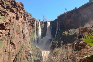 Excursion d'une journée aux cascades d'Ouzoud et promenade en bateau au départ de Marrakech