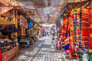 Fra Agadir eller Taghazout: Guidet dagsudflugt til Marrakech