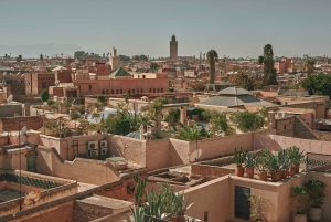 Agadirista tai Taghazoutista: Marrakech: Opastettu Marrakechin päiväretki