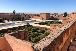 Fra Agadir eller Taghazout: Guidet dagstur til Marrakech