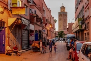 Fra Agadir eller Taghazout: Guidet dagsudflugt til Marrakech