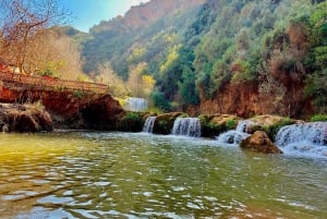 Guided waterfalls day trip with Unique guide in Ouzoud