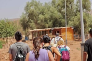 Guided waterfalls day trip with Unique guide in Ouzoud