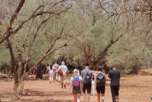 Guided waterfalls day trip with Unique guide in Ouzoud