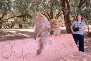 Guided waterfalls day trip with Unique guide in Ouzoud