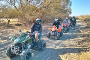 Buggy por la palmera y el desierto de Marrakech