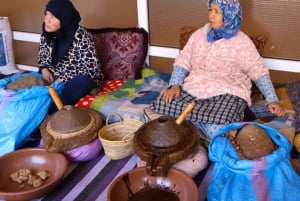 Vanuit Marrakech: Halfdaagse tour naar Atlasgebergte & Ourika