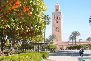 Punti salienti e gemme nascoste di Marrakech