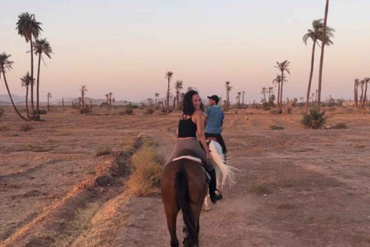 Marrakech: Passeio a cavalo no deserto e em Palmeraie e traslado