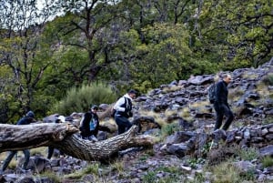 Marrakech: Paragliding in the Atlas Mountains