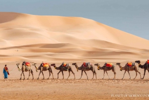 Escursione di lusso di 3 giorni nel deserto da Marrakesh a Fez