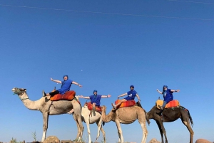 Marrakech: excursión de 1 día a 3 valles, montañas del Atlas y cascadas