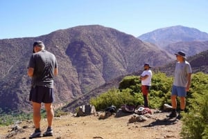 Marrakech: excursión de 1 día a 3 valles, montañas del Atlas y cascadas