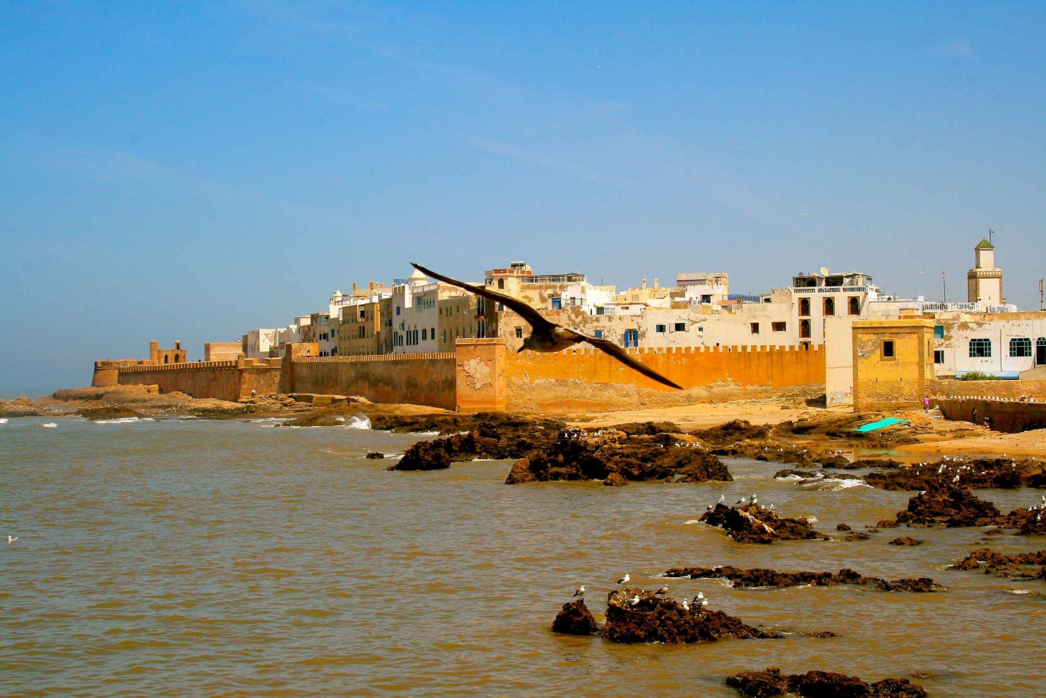 Viagem de um dia de luxo para Essaouira saindo de Marrakech