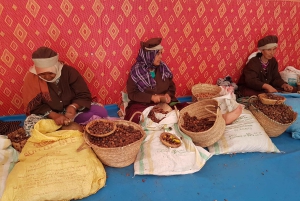 Viagem de um dia de luxo para Essaouira saindo de Marrakech