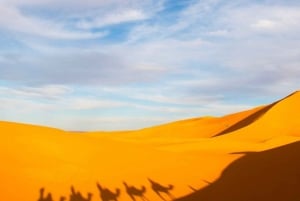Marrakech: Agafay Desert Lunch with Quad Bike Tour
