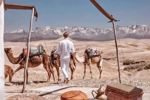 Luxe diner bij zonsondergang in premium woestijnkamp; show