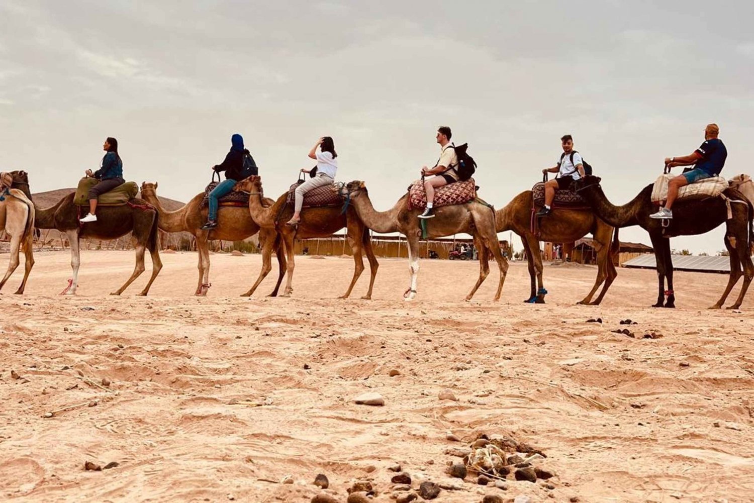 Agafay Desert : Quad Ride, Camel Experience & Dinner Show