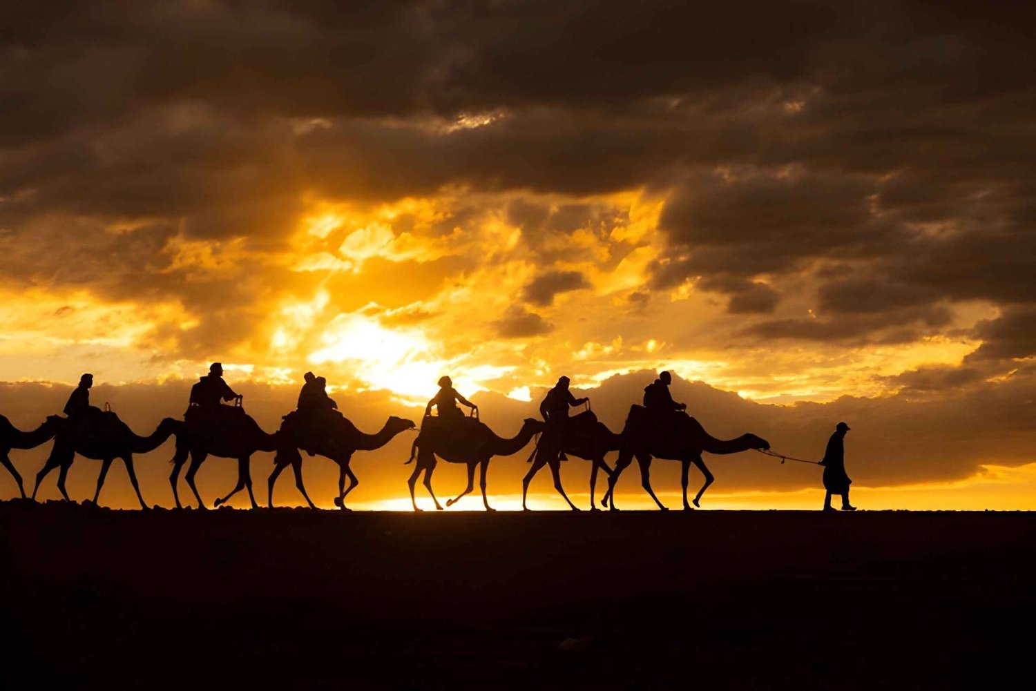 Magiska Agafay: Kamelridning & middagsshow