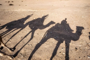 Magiska Agafay: Kamelridning & middagsshow