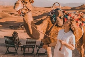 Taianomainen ilta Agafayn aavikolla: kameliratsastus ja berberi-illallinen