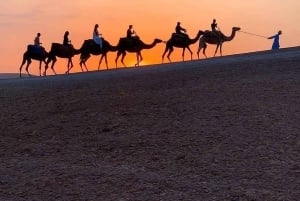 Taianomainen ilta Agafayn aavikolla: kameliratsastus ja berberi-illallinen