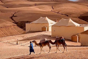 Magical Dinner In Agafay Desert Under the Stars & Camel rid