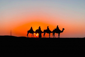 Magical Dinner in Desert Marrakech & Camel ride at sunset
