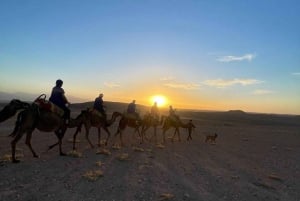 Jantar com show mágico e passeio de camelo no deserto de Agafay
