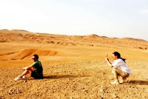 Cena magica e giro in cammello nel deserto di Agafay