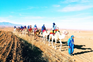 Marrakesh: Agafay Desert Tour with Camel Ride, Dinner & Show