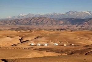 Marrakech: Agafay Desert Dinner and Sunset Camel Ride Trip