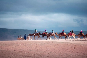 Cena mágica bajo las estrellas con paseo en camello y quad