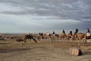 1 nocna wycieczka po pustyni Agafay z przejażdżką na wielbłądzie i pokazem kolacji