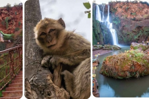 Von Marrakech aus: Ouzoud Wasserfälle Ganztagestour mit Guide