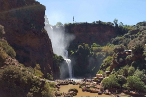Von Marrakech aus: Ouzoud Wasserfälle Ganztagestour mit Guide