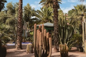 Marrakesh: Ingressos para o Jardim Majorelle