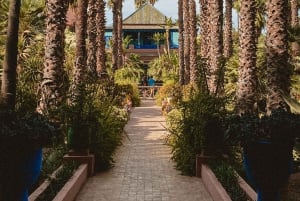 Marrakesh: Ingressos para o Jardim Majorelle