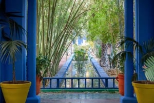 Marrakesh: Biglietti per l'ingresso al Giardino Majorelle