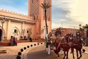 Marrakech: 1-times tur med tradisjonell hestevogn