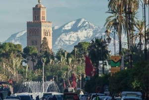 Marrakech: 1-times tur med tradisjonell hestevogn