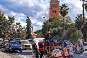 Marrakech: 1-times tur med tradisjonell hestevogn