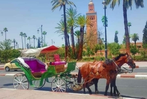 Marrakech: 1-times tur med tradisjonell hestevogn