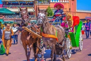Marrakech: 1-times tur med tradisjonell hestevogn