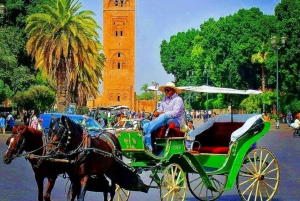 Marrakech: 1-times tur med tradisjonell hestevogn