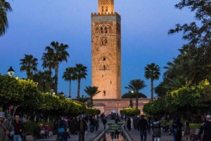 Marrakech: 1-times tur med tradisjonell hestevogn