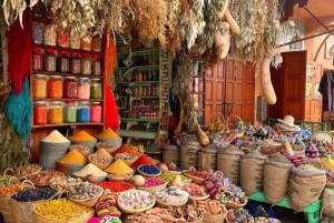 Marrakech: 1-times tur med tradisjonell hestevogn