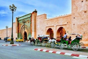 Marrakech: 1-times tur med tradisjonell hestevogn